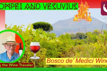 Mount Vesuvius, Bosco de'Medici Winery. PART 1