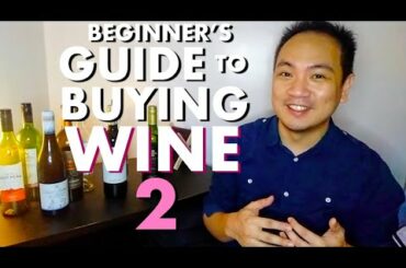 WINE BUYING TIPS: Buy Good Wine WITHOUT Reviews! Reading the Wine Label...