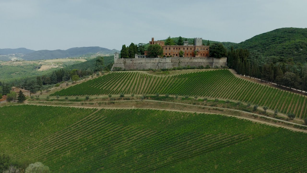 Tuscan wine tour Tuscan wine tour