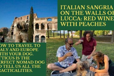 TRAVELLING WITH YOUR DOG TO ITALY AND EUROPE | Drinking red wine with peaches, an Italian Sangria