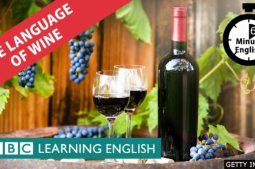The language of wine - 6 Minute English