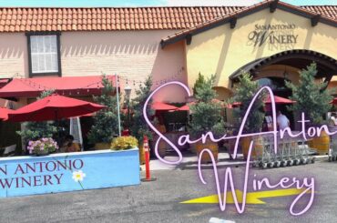 San Antonio Winery (Los Angeles, California) [4K]