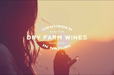 Natural Wine vs. Dry Farm Wines