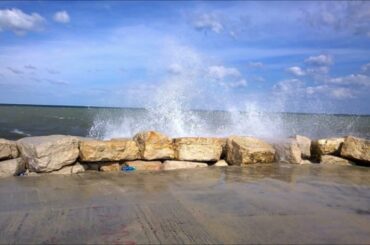 Italy Trani * Harbour & Food