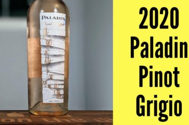 2020 Paladin Delle Venezie Pinot Grigio Wine Review
