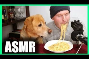 Dog eating spaghetti with cheese and pepper, italian food - ASMR Eating sounds