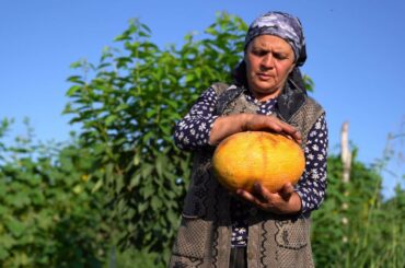 Harvesting Melons from Garden and Making Melon Syrup, Outdoor Cooking