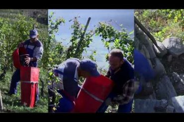 Caven winery in Valtellina