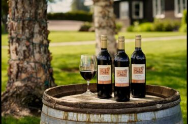 2019 H Sangiovese Tasting with Chuck Reininger