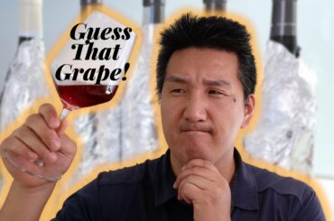 BLIND TASTING Italian Wine & Guessing The Grape