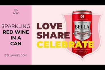 Best Canned Wines: Summer Perfect Sparkling Red Wine 12%ABV from Bella Vino by Bella Principessa