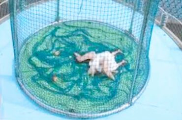 Drone Captures What No One Was Supposed to See