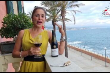 Wine Fantasy - NERO D’AVOLA Sicilia DOC