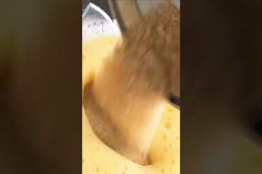 Food by shi - 3 ingredients Italian sponge cake #Shorts