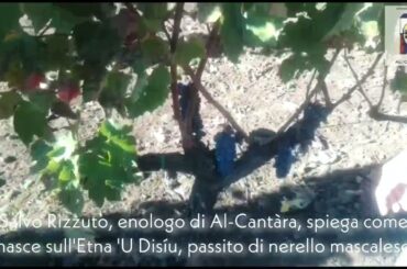 Al-Cantara Winery on Mt Etna Sicily