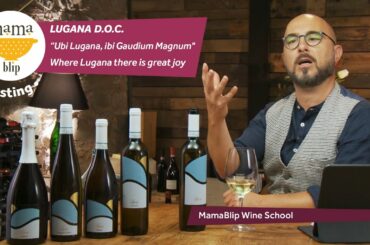 Turbiana | Lugana DOC | Wine tasting with Filippo Bartolotta