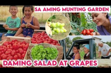 PICKING TOMATOES HABANG KUMAIN NG GRAPES | LIFE IN ITALY