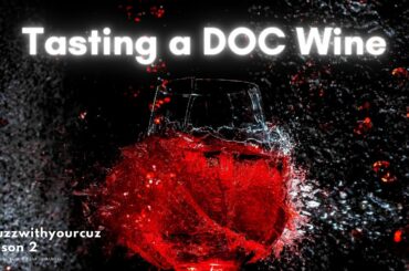 Nebbiolo D'Alba DOC Wine | Tour of Italy | Buzz with Your Cuz Series | Flour, Eggs and Yeast Channel