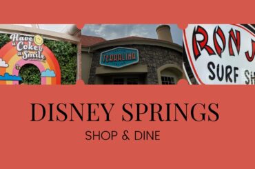 Disney Springs Shopping and Terralina Crafted Italian