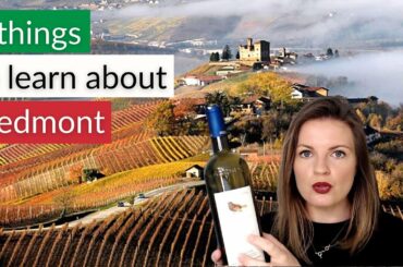 5 Things You Need To know About Piedmont Wines | MORE DOCG'S THAN ANY OTHER WINE ITALIAN REION!