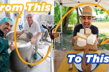 How to Make Italian Cheese: Learning to Cook in Italy | Ep. 19 Month in The Making