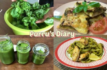 [Purru's Diary] Vegan pesto and Italian food for a day | Purru Cooks