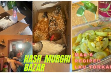 Chicken And Duck From Farm In Italy | Lau Recipe