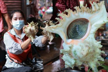 Market Tour - Ocean Snail Salad - Yummy Ocean Snail Salad Eating - Cooking With Sros