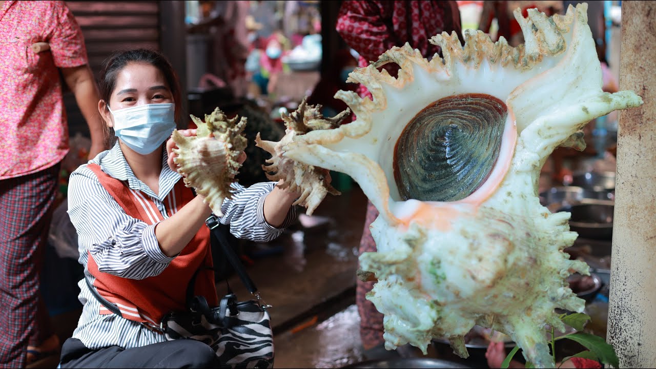 Market Tour – Ocean Snail Salad – Yummy Ocean Snail Salad Eating – Cooking With Sros Market Tour - Ocean Snail Salad - Yummy Ocean Snail Salad Eating - Cooking With Sros