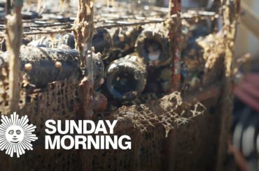 Wine cellar in the sea