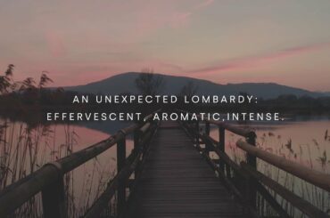 Discovering Lombard Wines