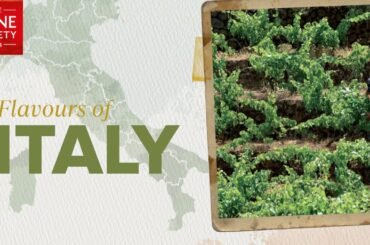 Italy - with a focus on Brunelli near  Tuscany