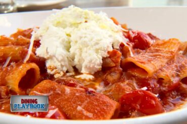 Dining Playbook: Nebo Cucina & Enoteca