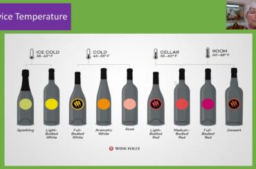 TASTE Talks: How Best to enjoy your wine