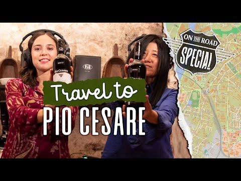 Pio Cesare Winery, Travel Italy! (Italian Wine Podcasts' 'On the Road Edition' with Stevie Kim) Pio Cesare Winery, Travel Italy! (Italian Wine Podcasts' 'On the Road Edition' with Stevie Kim)