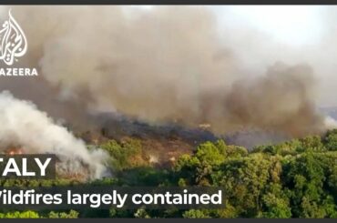 Italy's firefighters battle to tackle wildfires on the Adriatic coast