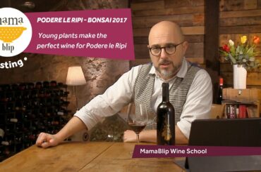 Sangiovese | Bonsai - Podere Le Ripi | Wine Tasting with Filippo Bartolotta