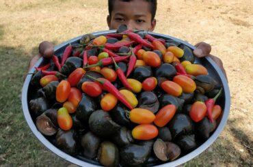 Easy Snail Salad Recipe | Yummy River Snail Cooking Mixed Vegetable | Eating Snail Delicious