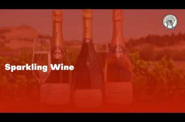 Know the Best Wines to Cook Italian Food! (2021)