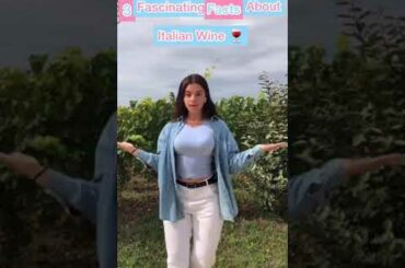 3 Facts about Italian Wine, that u don’t know!