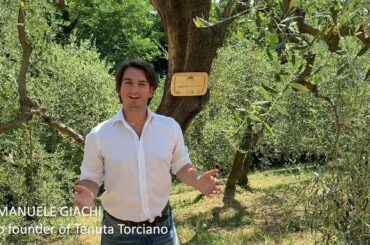 Tenuta Torciano Winery - Olive Tree Adoption Project