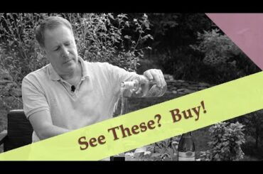 Two Refreshing Wines for the Dog Days of Summer 2021!