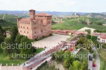 castello di grenzani cavour | The vineyard |Langhe Vineyard Landscape| cuneo Piedmont italy