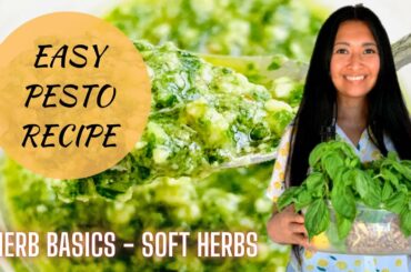 Herb Basics: Pesto Recipe & Health Benefits | Italian Green Sauce | Healthy Condiment