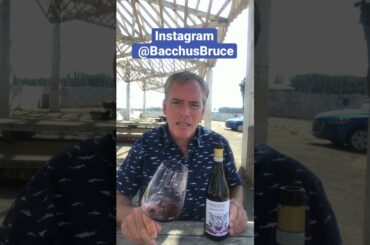 Bacchus Bruce 2018 Gaudio Bricco Mondalino Malvasia Rossa Piedmont Italy Wine Tasting
