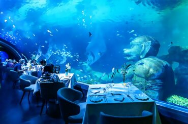 The Most Expensive Restaurant In The World