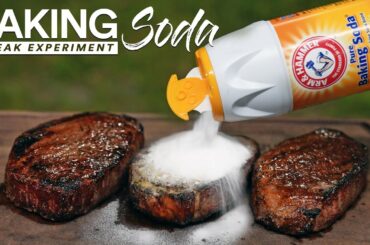 I tried BAKING SODA on $1 Steak and this happened!