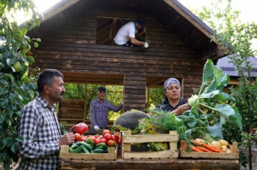 Harvesting Vegetables and Cooking Dinner for Wooden House Builders, Funny Pets