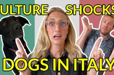 CULTURE SHOCKS OF HAVING A DOG IN ITALY