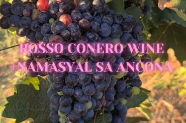 NAMASYAL SA ANCONA| ROSSO CONERO WINE | THE CASTRIOTA